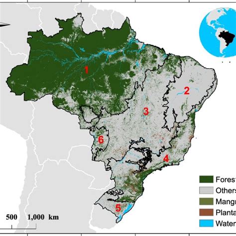 brazil map forestry